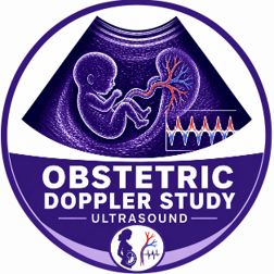 Obstetric Doppler Study